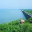 Himayat Sagar Lake Hyderabad
